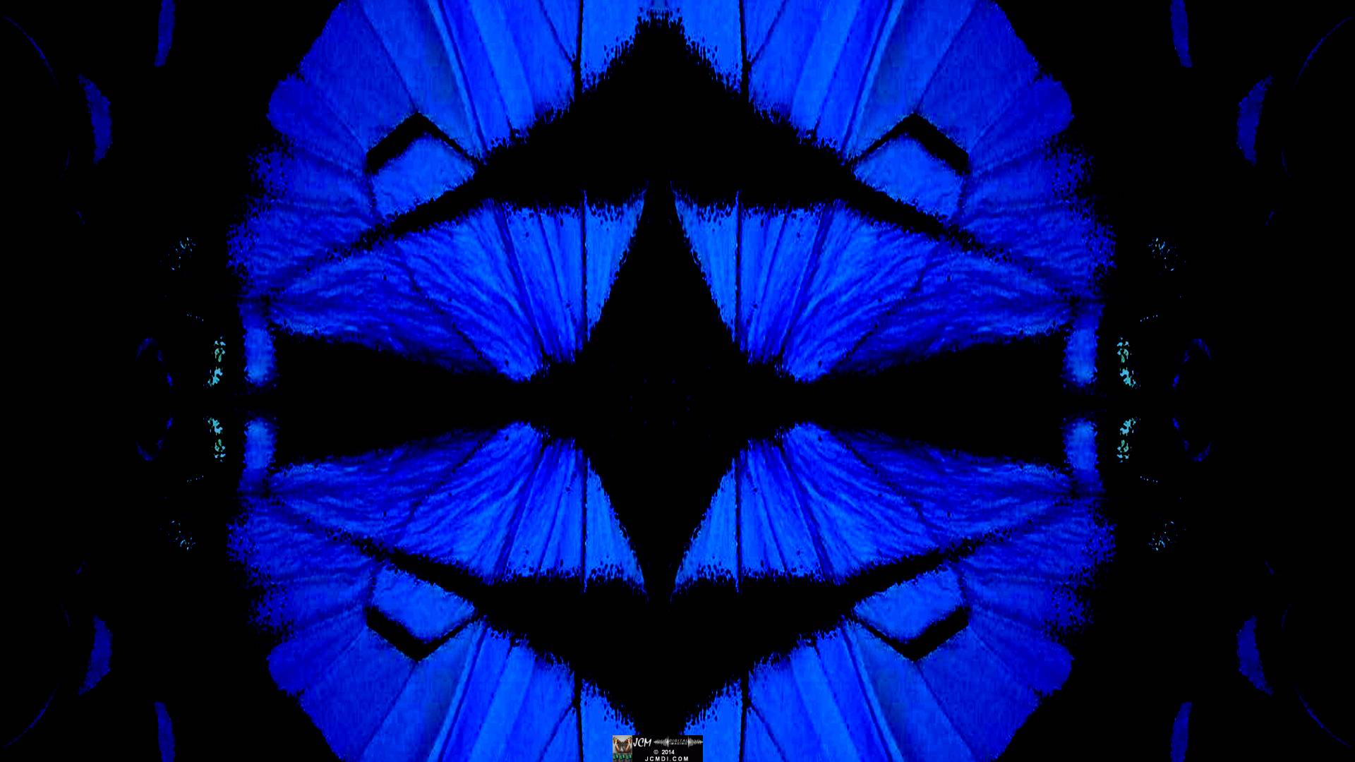 Western Tiger Swallowtail (Papilio rutulus) Quadroscopic artwork image